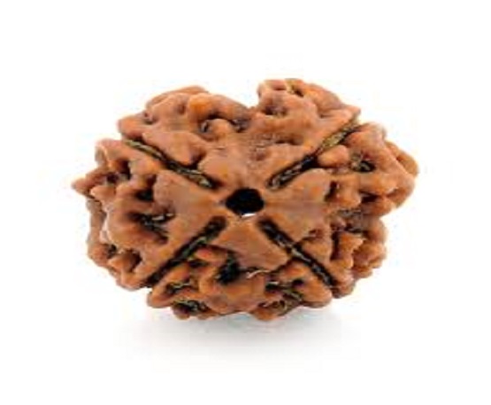 4-Mukhi-Rudraksh